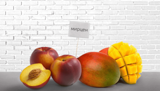 Терпен мирцен в конопле