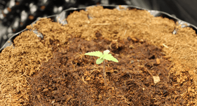 1596122447549.png 1596122447549.png