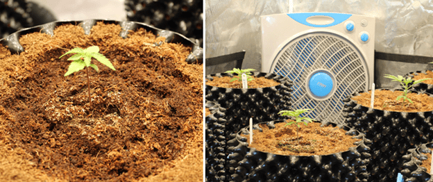 1596122464690.png 1596122464690.png