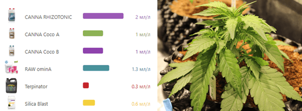 1596122484689.png 1596122484689.png