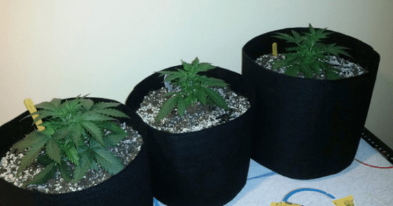 1598455867881.png 1598455867881.png