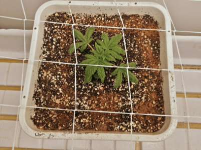 1598717947312.png 1598717947312.png