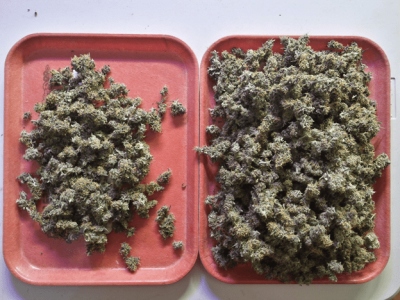 1598717995424.png 1598717995424.png