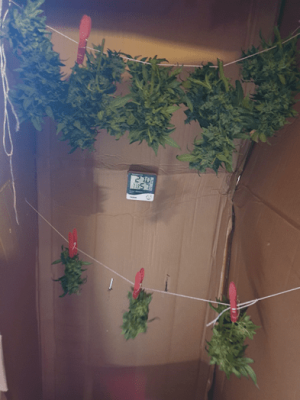 1599387841397.png 1599387841397.png