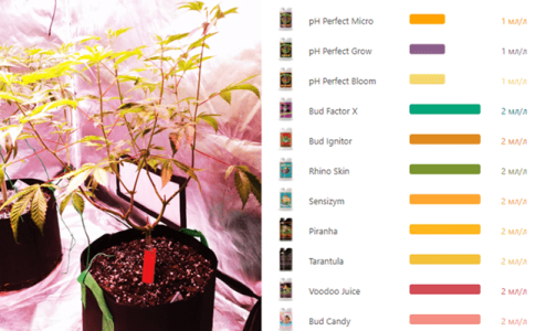 1600349231137.png 1600349231137.png