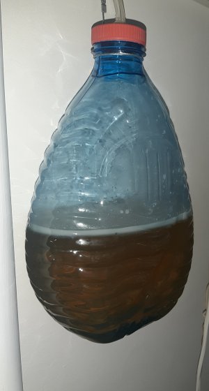 20220329_212414.jpg 20220329_212414.jpg