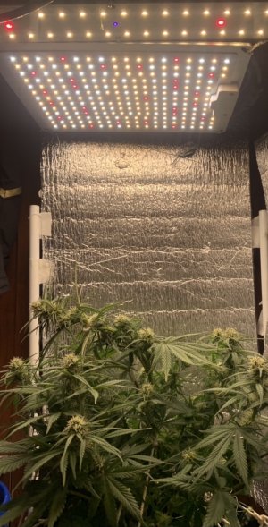 69787749-1C9C-42C3-A373-E7B2561CA679.jpeg 69787749-1C9C-42C3-A373-E7B2561CA679.jpeg