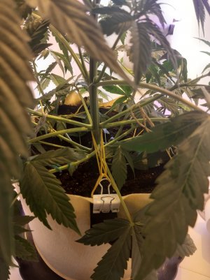 20220402_210153.jpg 20220402_210153.jpg