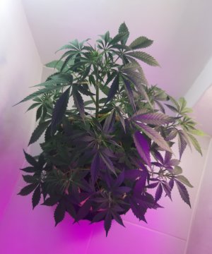 20220404_101836.jpg 20220404_101836.jpg