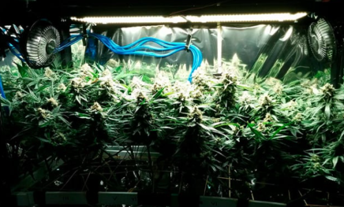 1732775896814.png 1732775896814.png