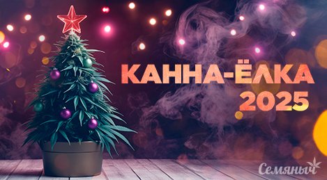 1734108871290.jpeg 1734108871290.jpeg