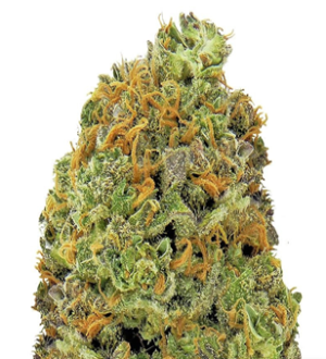 1736077262977.png 1736077262977.png