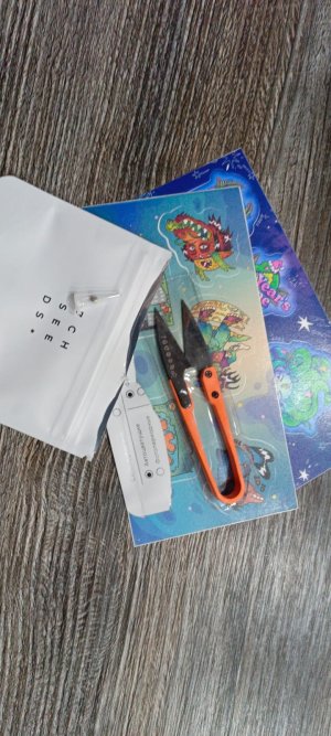 Изображение WhatsApp 2025-01-14 в 18.52.29_0b1af78a.jpg