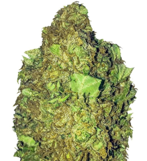 1736877294766.png 1736877294766.png