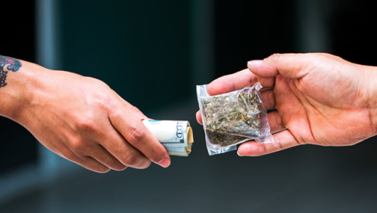 1738229513328.png 1738229513328.png