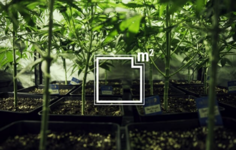 1740066217571.png 1740066217571.png