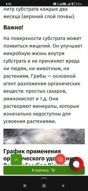 Screenshot_2025-02-22-08-02-57-145_ru.yandex.searchplugin.jpg