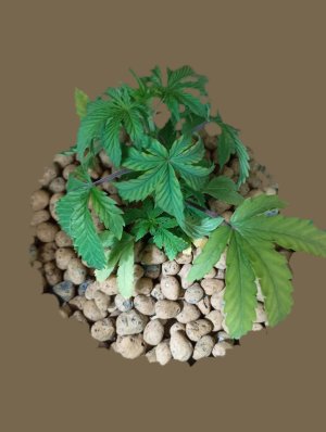 1000221938.jpg 1000221938.jpg