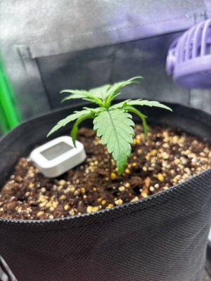 photo_2025-03-22_15-58-36 (2).jpg