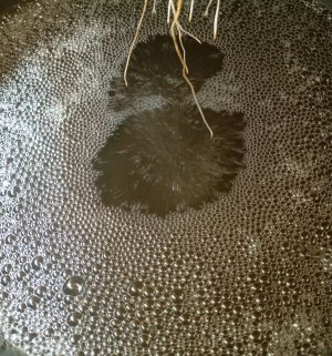 1000235755.jpg 1000235755.jpg