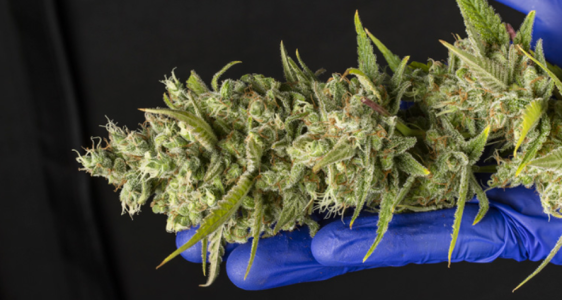 1742983712720.png 1742983712720.png