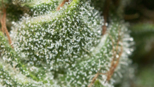 1742983829430.png 1742983829430.png