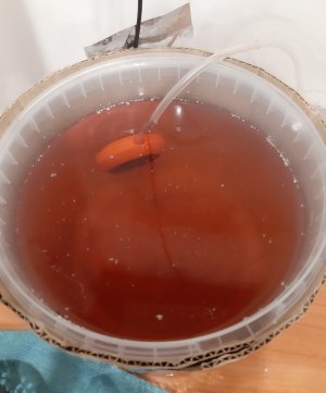 20250415_125606.jpg 20250415_125606.jpg