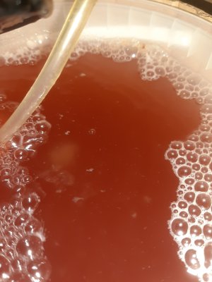 20250415_125552.jpg 20250415_125552.jpg