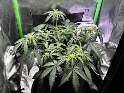 photo_2025-04-17_09-44-28 (2).jpg