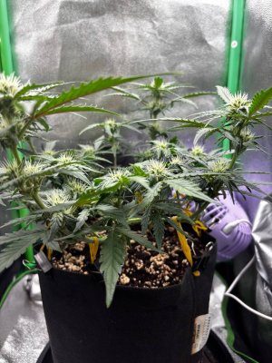 photo_2025-04-22_19-11-42 (2).jpg