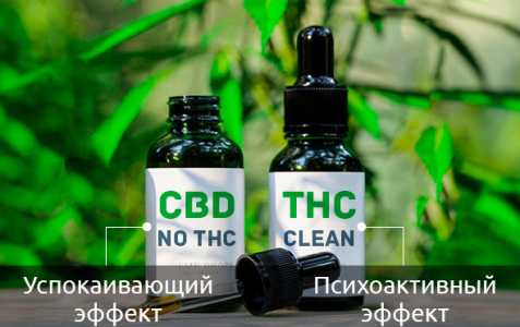 1745426033558.png 1745426033558.png