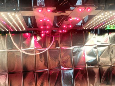 photo_2025-04-30_13-36-39 (2).jpg