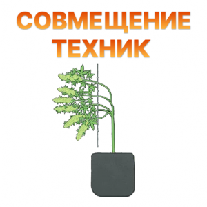 Sovmeshchenie tekhnik.png