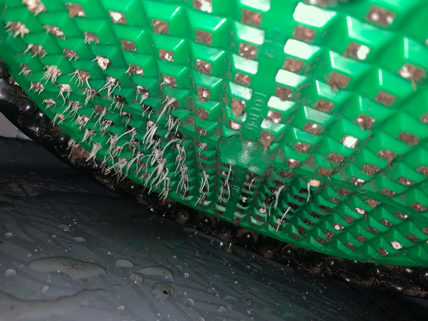 032A76BA-793A-4DDF-BF2D-3ADECBE1FFBC.jpeg 032A76BA-793A-4DDF-BF2D-3ADECBE1FFBC.jpeg