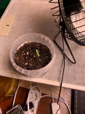 FAD5B395-F6F5-472C-8146-763B1A88667D.jpeg FAD5B395-F6F5-472C-8146-763B1A88667D.jpeg