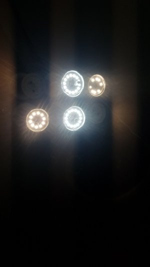 20220407_184731_optimized.jpg 20220407_184731_optimized.jpg