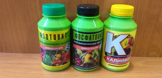 удо.jpg удо.jpg