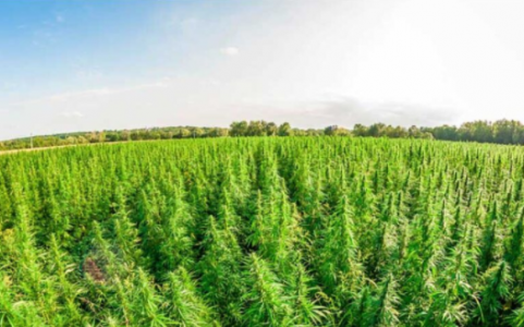 1649599829500.png 1649599829500.png