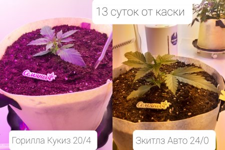 20220408_205916.jpg 20220408_205916.jpg