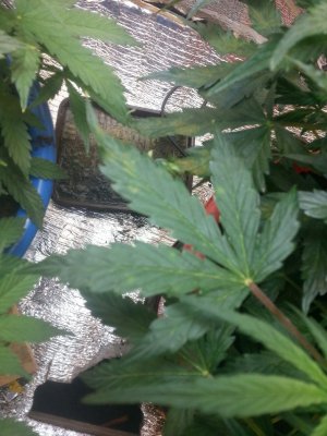 20220411_092647.jpg 20220411_092647.jpg