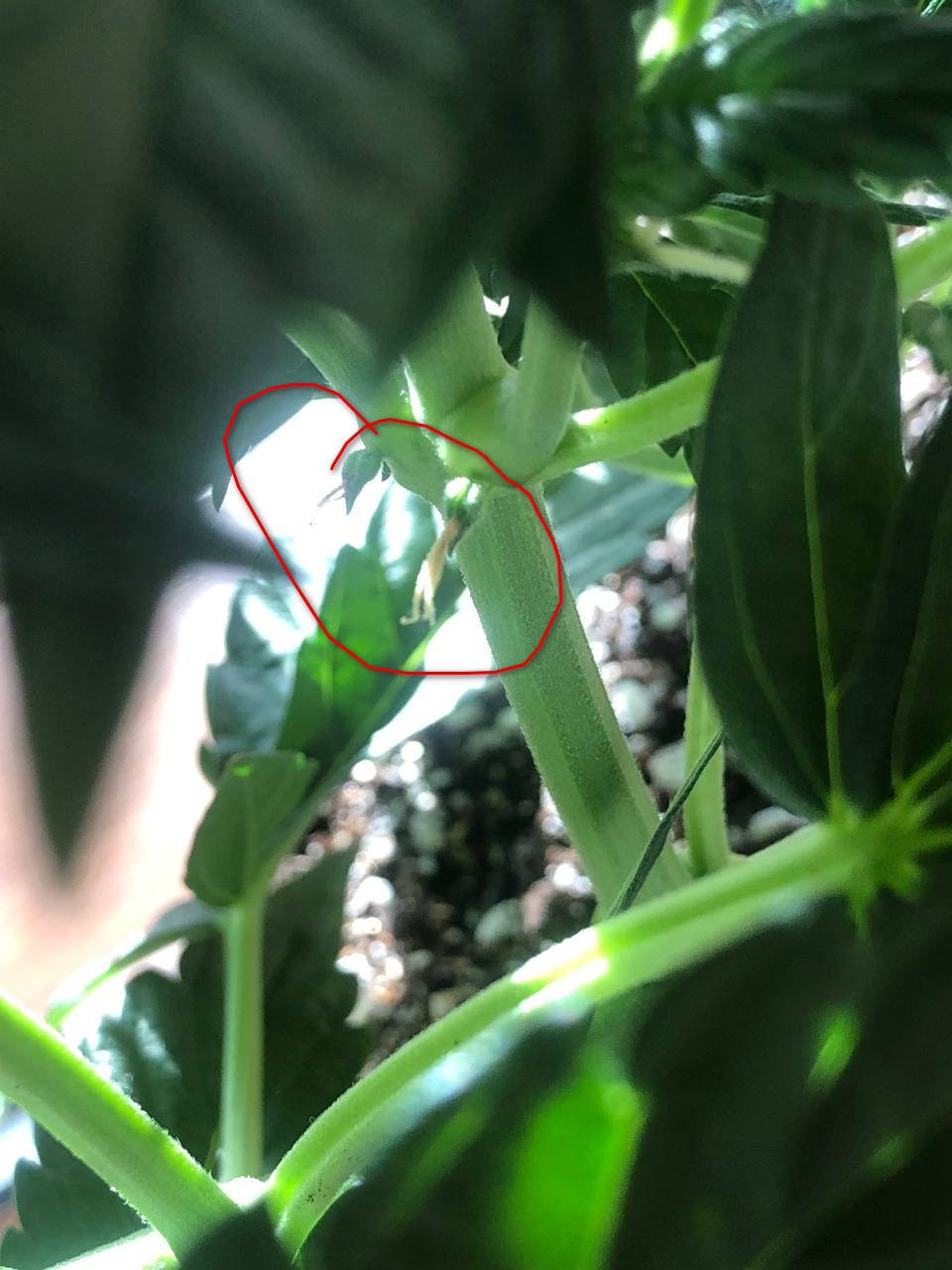 photo_2022-04-13_08-21-03 — копия.jpg