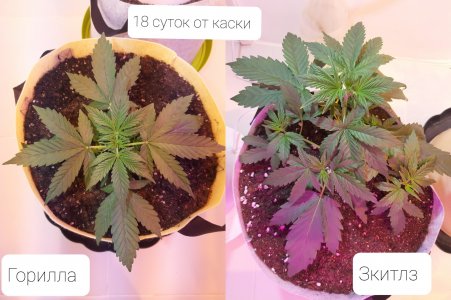 20220413_211152.jpg 20220413_211152.jpg