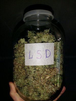 IMG_20220414_121002_695.jpg IMG_20220414_121002_695.jpg