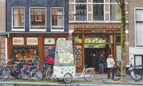 1650457463876.png 1650457463876.png