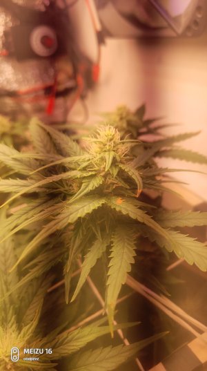 2025-05-11 140642.jpg