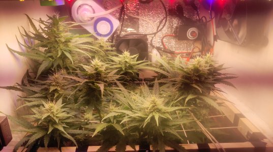 2025-05-15 094037.jpg