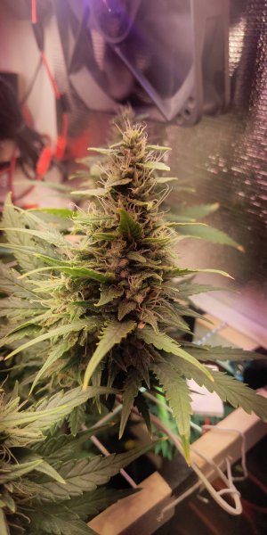 P50525-160259 (1).jpg