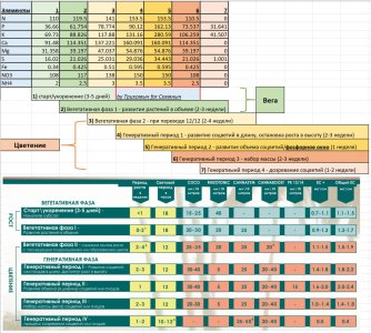 IMG_20250527_185906_306.jpg IMG_20250527_185906_306.jpg