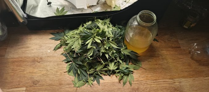 IMG_20250530_230854_079.jpg IMG_20250530_230854_079.jpg