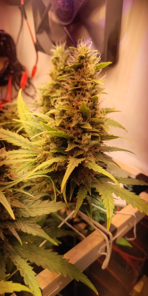 P50531-130419 (1).jpg